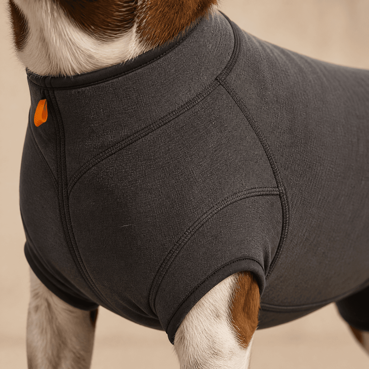 Close-up of the graphite knit, binding, and flatlock seams